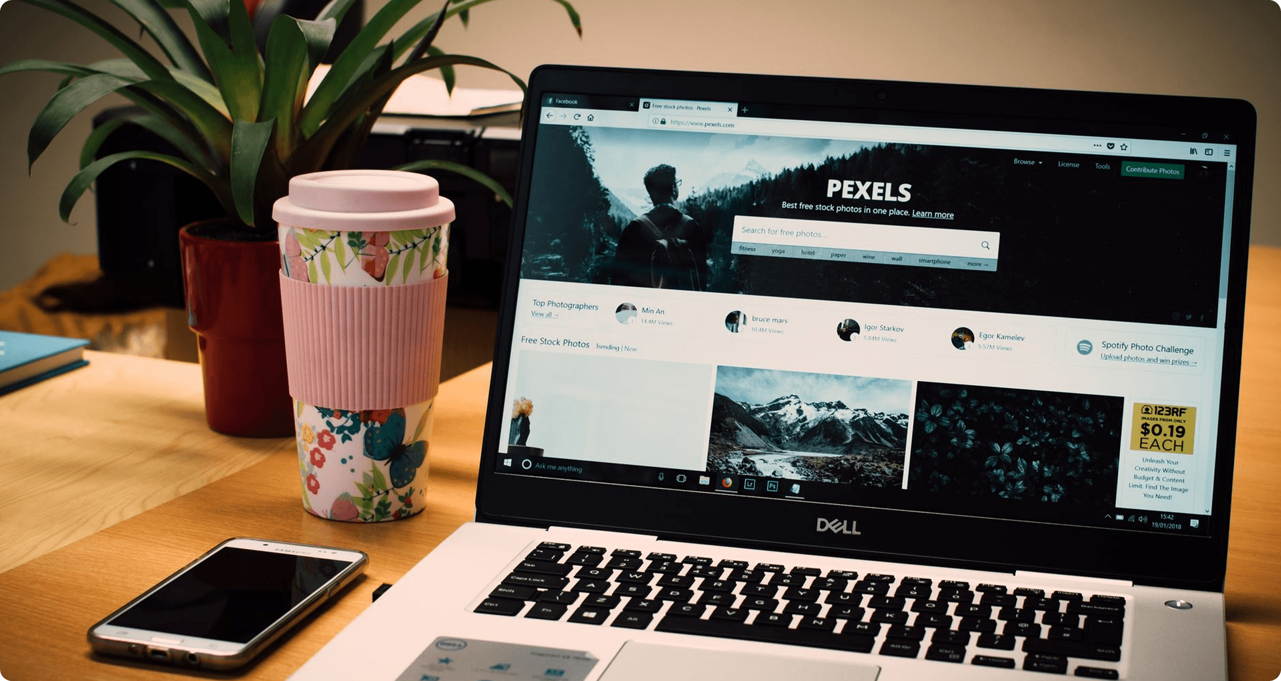 Web Design & Development