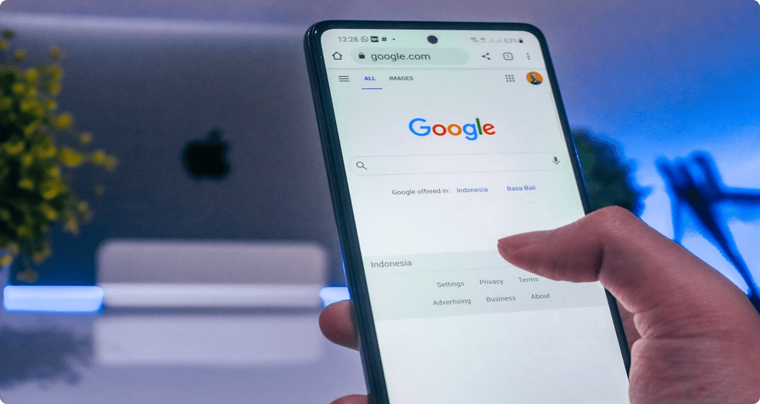 SEO Optimization